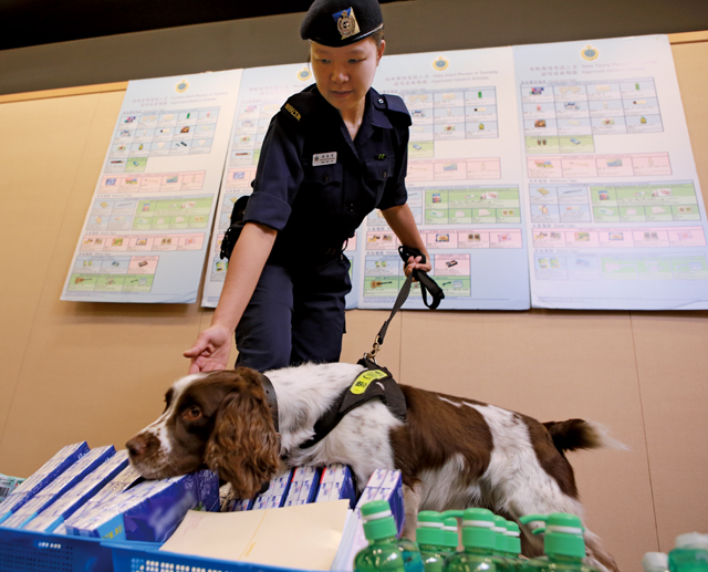 警卫犬利用灵敏的嗅觉，协助检查探访交来物品。