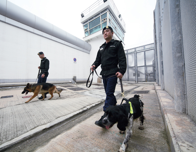 警卫犬队执行巡逻和缉毒工作，以支援惩教设施的监察工作。